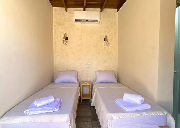 Orman Evi Balance